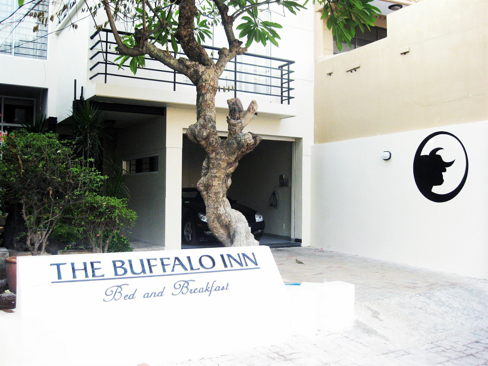 Buffalo Inn Vũng Tàu Eksteriør billede